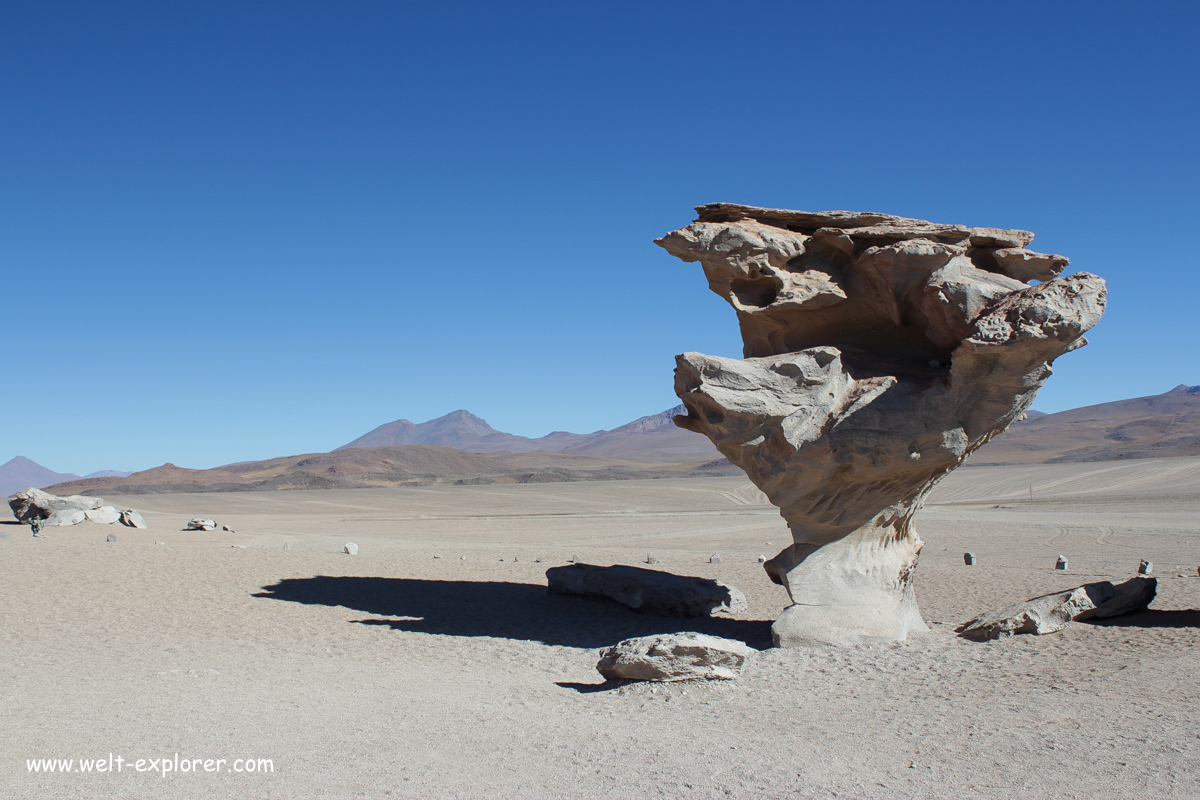 Arbol de Piedra in der Wüste