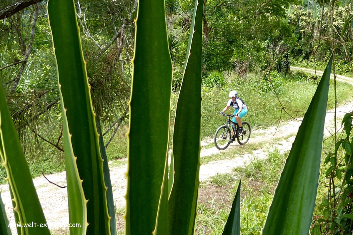 Bike Adventure Tour in Costa Rica