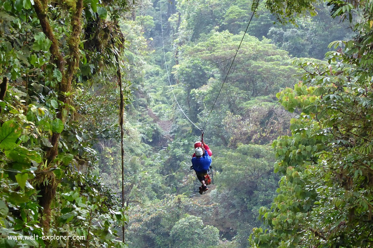 Canopy und Ziplining im Monteverde Nationalpark