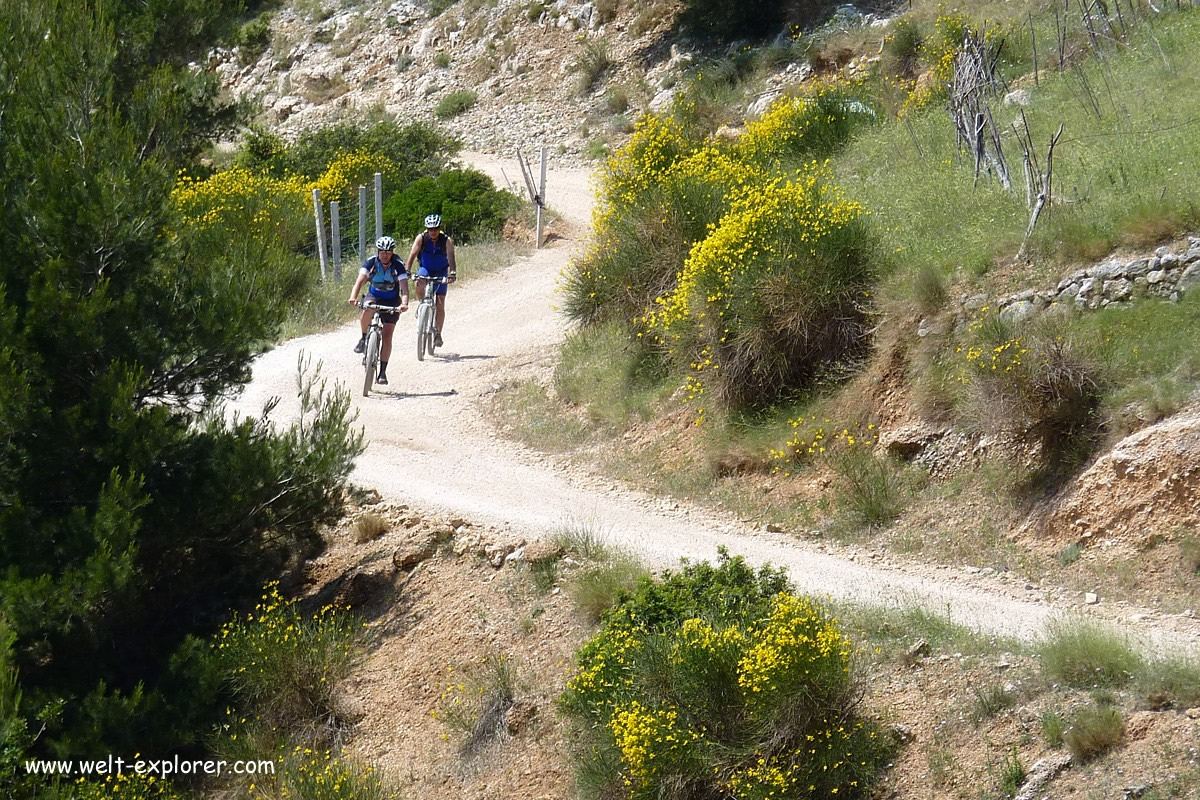 Mountainbiker auf der Insel Brac