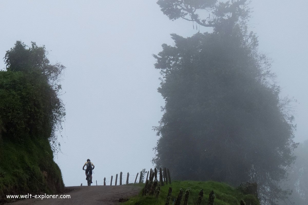 Mountainbiker im Nebelwald