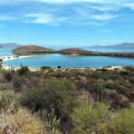 Kakteen, Wüste und Meer auf der Baja California Kakteen, Wüste und Meer auf der Baja California in Mexiko