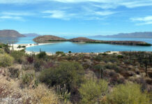 Kakteen, Wüste und Meer auf der Baja California Kakteen, Wüste und Meer auf der Baja California in Mexiko