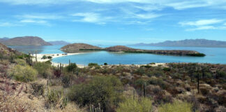 Kakteen, Wüste und Meer auf der Baja California Kakteen, Wüste und Meer auf der Baja California in Mexiko