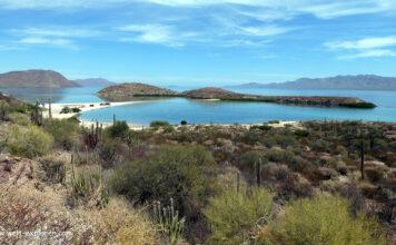 Kakteen, Wüste und Meer auf der Baja California Kakteen, Wüste und Meer auf der Baja California in Mexiko