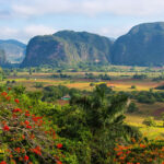 Rundreise nach Viñales und Westen von Kuba Tal von Viñales bei einer Reise durch Kubas Westen