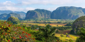 Rundreise nach Viñales und Westen von Kuba Tal von Viñales bei einer Reise durch Kubas Westen