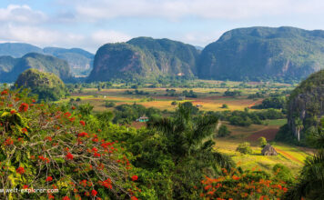 Rundreise nach Viñales und Westen von Kuba Tal von Viñales bei einer Reise durch Kubas Westen
