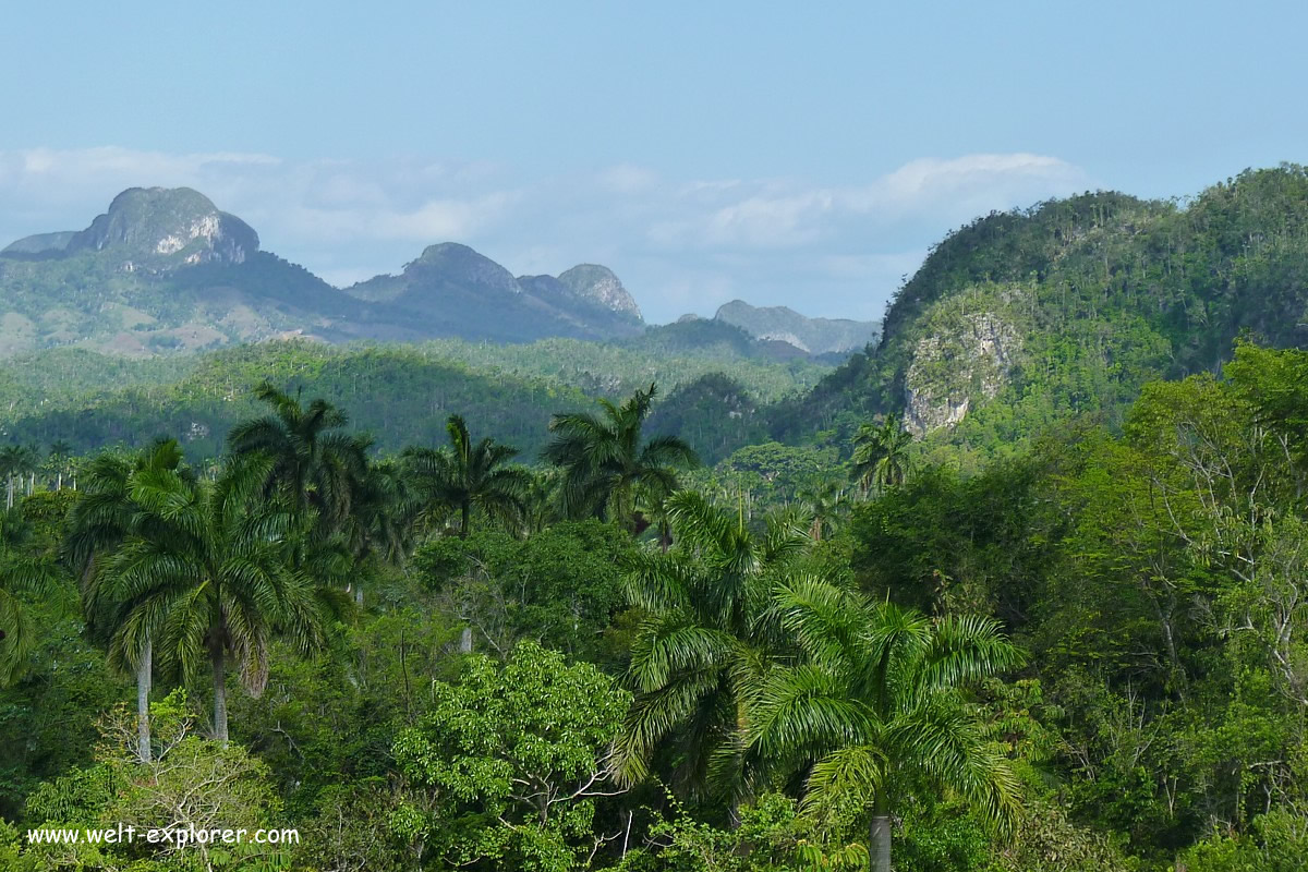 Sierra del Rosario im Westen Kubas