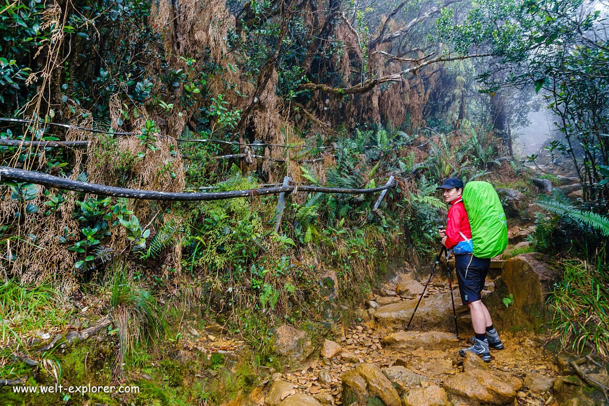 Trekking und Besteigung de Mount Kinabalu
