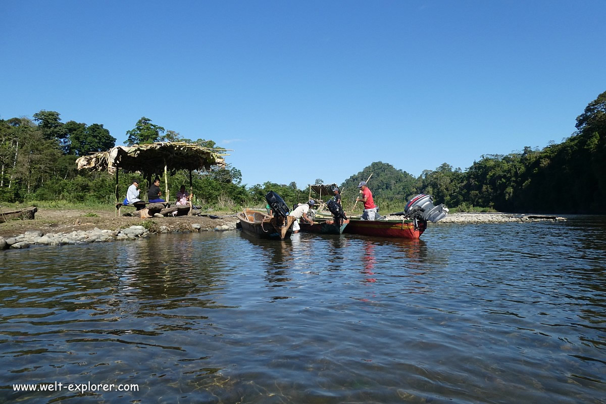 Bootsfahrt auf dem Rio Paranapura