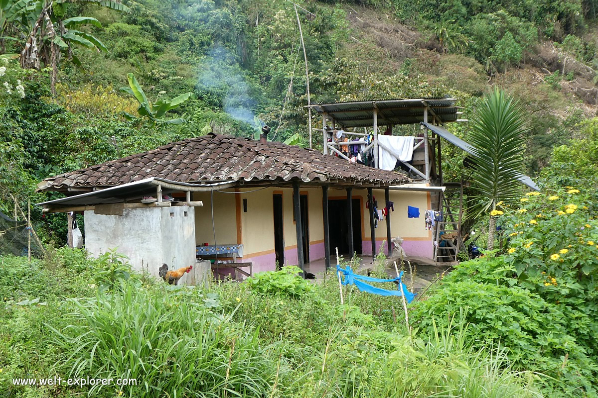 Haus im Amazonas
