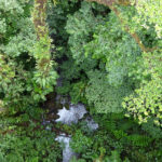 Amazonas Dschungel Expedition und Trekking Amazonas Dschungel Trekking und Expedition