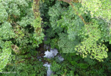 Amazonas Dschungel Expedition und Trekking Amazonas Dschungel Trekking und Expedition