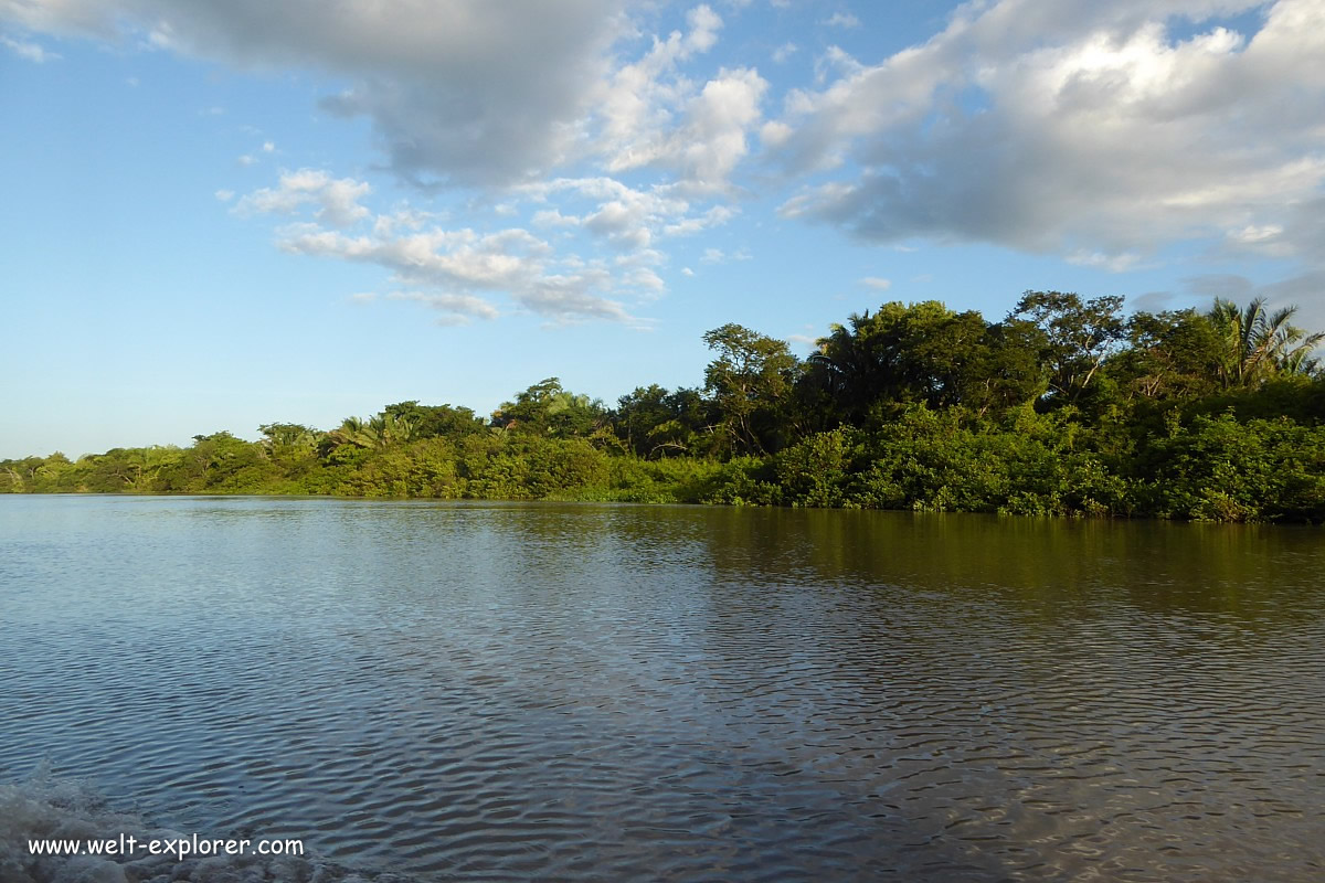 Rio Huallaga bei Yurimaguas