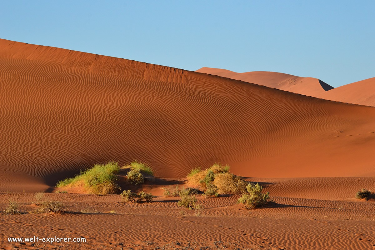 Wüste im Namib Naukluft Nationalpark