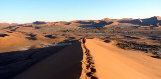 Namib-Wüste und Sossusvlei Sanddünen Namib-Wüste mit Sossusvlei Sanddünen in Namibia