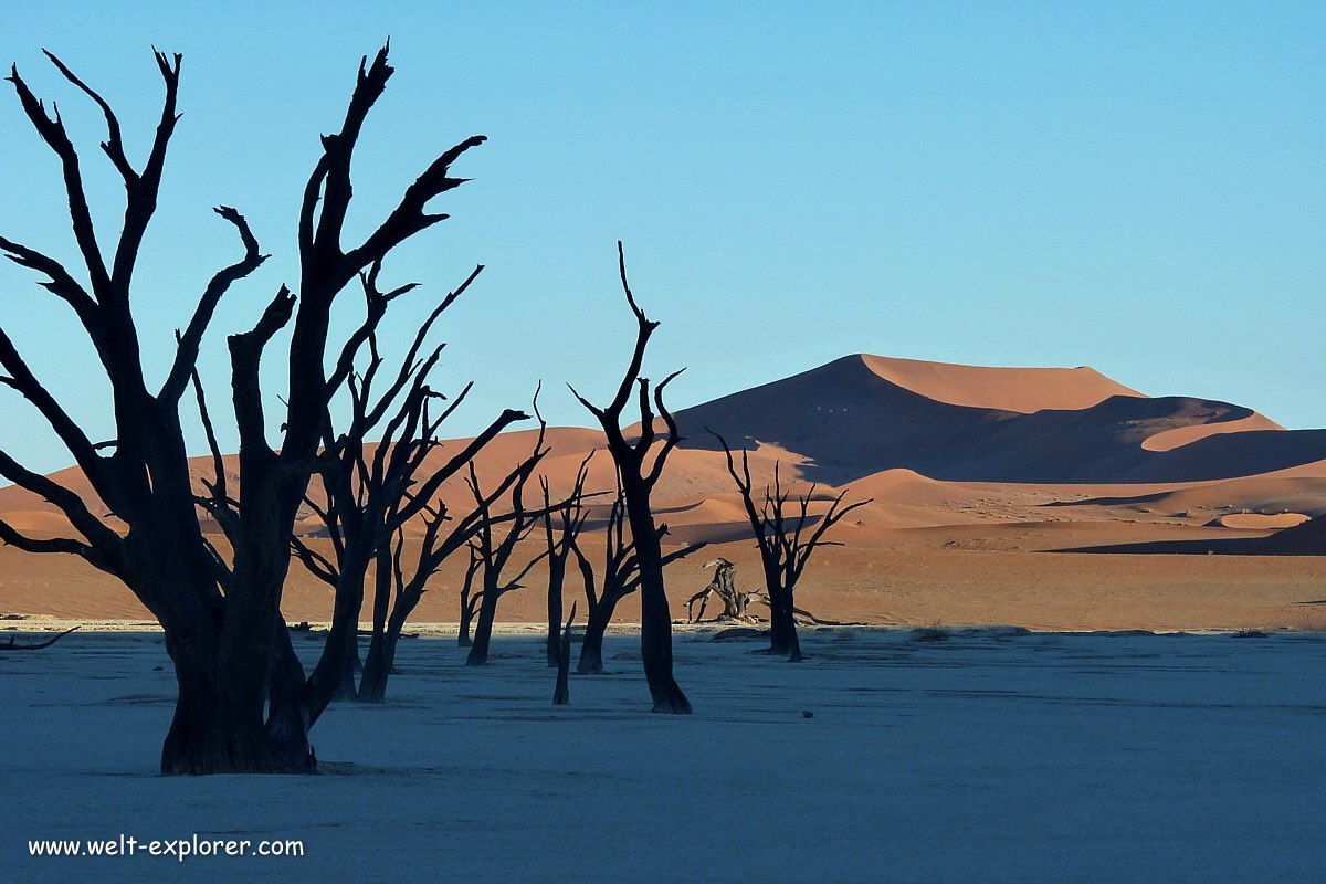 Tote Bäume auf dem Deadvlei