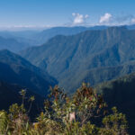 El Choro Trail Trekking in den Anden Boliviens El Choro Trek Trekking in den Anden von Bolivien