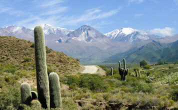 Südamerika Ford Explorer Road Trip in Südamerika