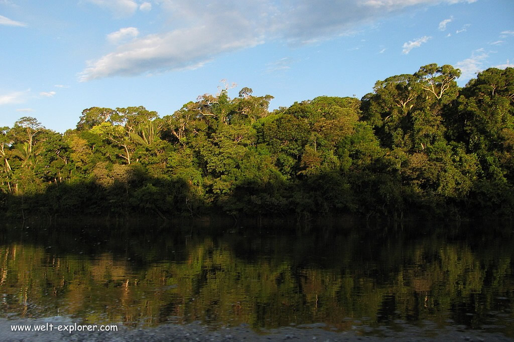 Rio Marañón Fluss im Amazonas Dschungel
