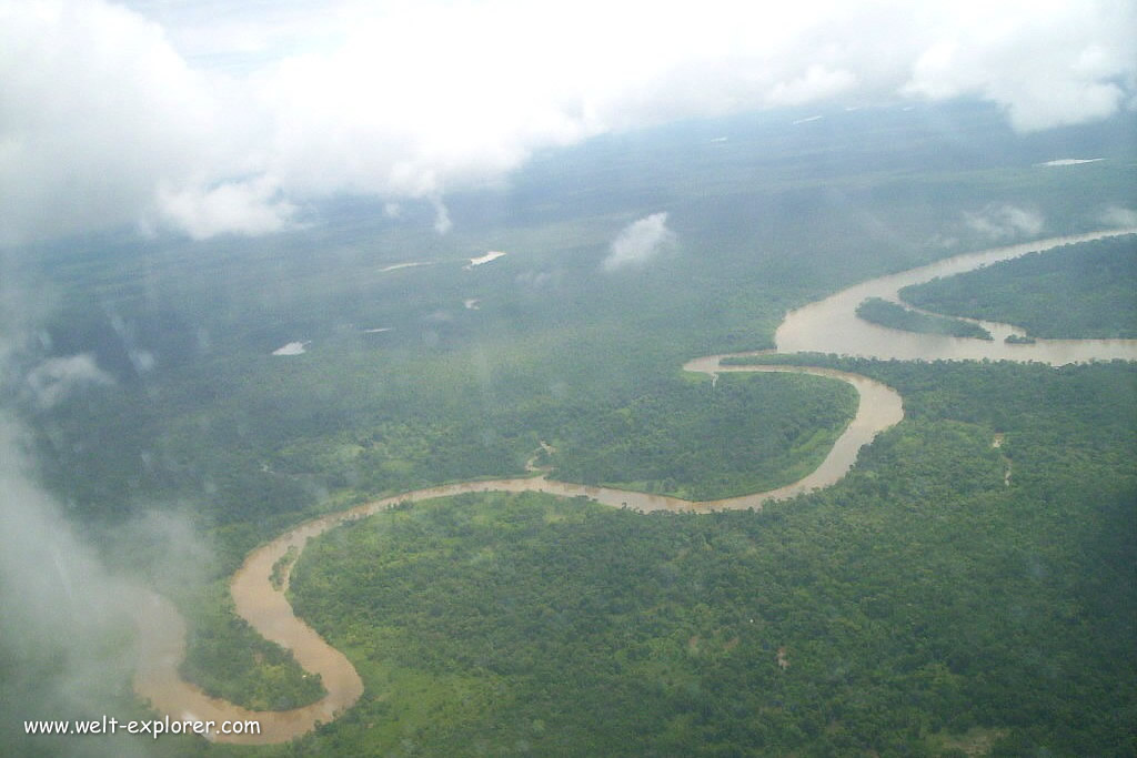 Amazonas Fluss und Dschungel