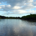 Amazonas Flussreise durch den Regenwald in Peru Flussreise auf dem Amazonas in Peru