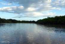Amazonas Flussreise durch den Regenwald in Peru Flussreise auf dem Amazonas in Peru
