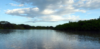 Amazonas Flussreise durch den Regenwald in Peru Flussreise auf dem Amazonas in Peru