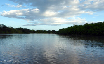 Amazonas Flussreise durch den Regenwald in Peru Flussreise auf dem Amazonas in Peru