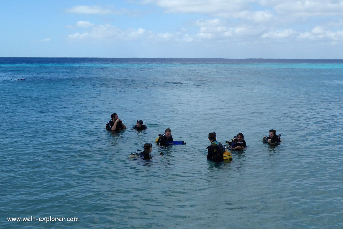 Tauchen auf Bocas del Toro