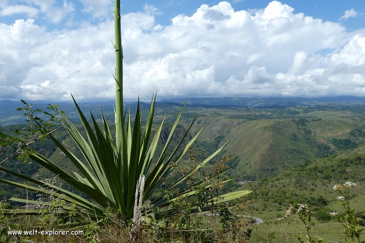 Andine Landschaft in Kolumbien