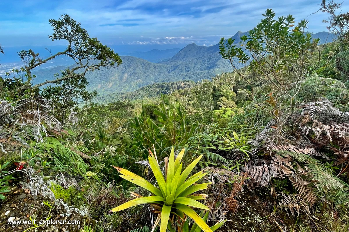 Bergwelt der Anden in der Sierra Nevada de Santa Marta