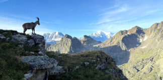 Trekking auf dem Alpenpässe-Weg im Wallis Trekking und Wanderung Alpenpässe-Weg in Walliser Alpen