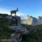 Trekking auf dem Alpenpässe-Weg im Wallis Trekking und Wanderung Alpenpässe-Weg in Walliser Alpen