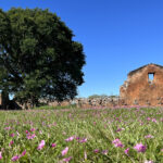Encarnación und Weltkulturerbe in Paraguay Weltkulturerbe von Trinidad bei Encarnación im Süden von Paraguay