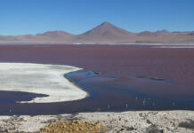 Boliviens Südwesten – Wüste, Lagunen und Vulkane Reise Bolivien Südwesten mit Wüste, Lagunen und Vulkanen