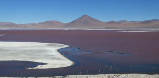 Boliviens Südwesten – Wüste, Lagunen und Vulkane Reise Bolivien Südwesten mit Wüste, Lagunen und Vulkanen
