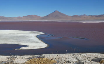 Boliviens Südwesten – Wüste, Lagunen und Vulkane Reise Bolivien Südwesten mit Wüste, Lagunen und Vulkanen