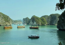 Cat Ba: Grösste Insel in der Bucht von Halong Boot und Tour in der Lan Ha Bucht der Insel Cat Ba in Vietnam