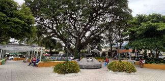 Jarabacoa – Outdoor-Aktivitäten in den Bergen Outdoor Highlights in Jarabacoa Dominikanische Republik