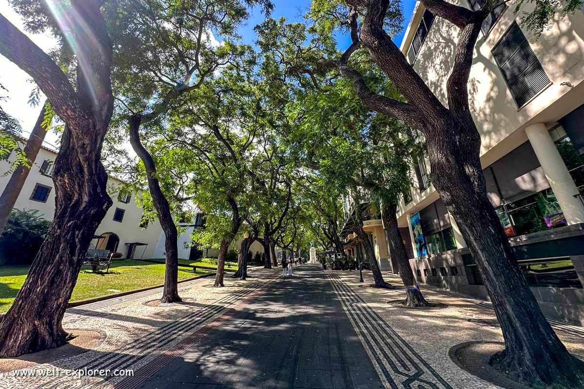 Avenida Zarco in der Hauptstadt Funchal