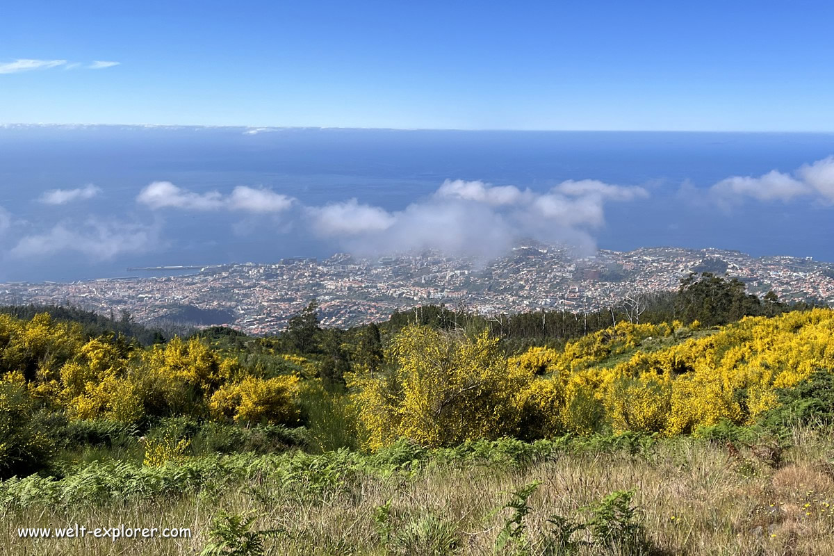 Wanderung beim Pico do Ariero bei Funchal
