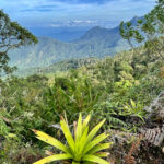 Bergdorf Minca und Küstengebirge Sierra Nevada de Santa Marta Bergdorf Mina und die Sierra Nevada de Santa Marta in Kolumbien