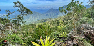 Bergdorf Minca und Küstengebirge Sierra Nevada de Santa Marta Bergdorf Mina und die Sierra Nevada de Santa Marta in Kolumbien