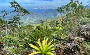 Bergdorf Minca und Küstengebirge Sierra Nevada de Santa Marta Bergdorf Mina und die Sierra Nevada de Santa Marta in Kolumbien