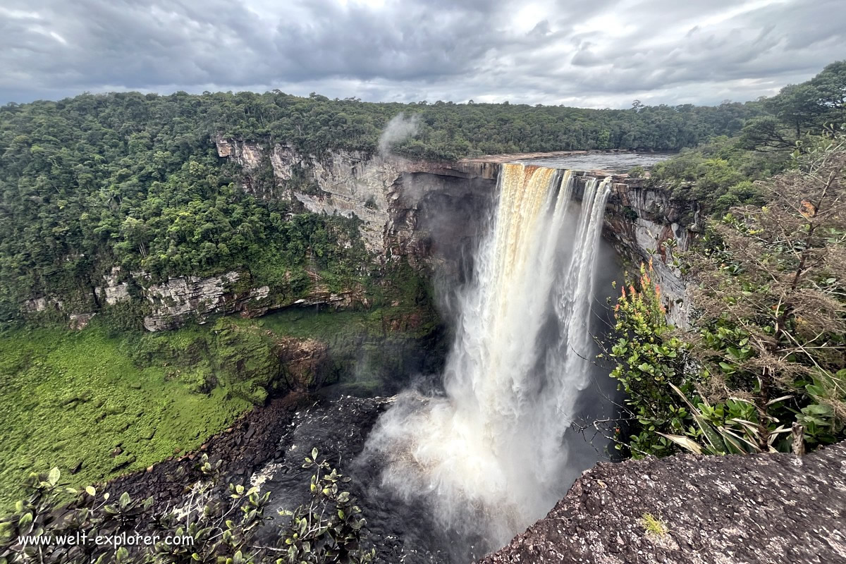 Tour und Ausflug zum Kaieteur Wasserfall