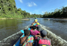 Dschungel-Abenteuer am Gran Rio bei Awarradam Suriname Dschungel-Abenteuer am Gran Rio Awarradam