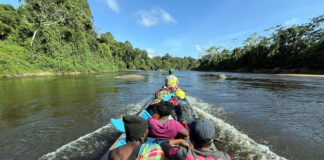Dschungel-Abenteuer am Gran Rio bei Awarradam Suriname Dschungel-Abenteuer am Gran Rio Awarradam
