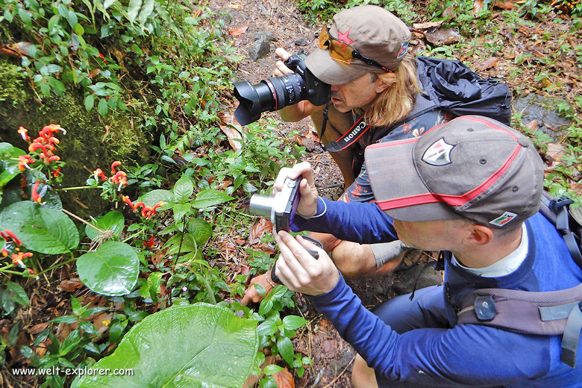Fotografen und Besucher auf einer Reise duch Costa Rica.